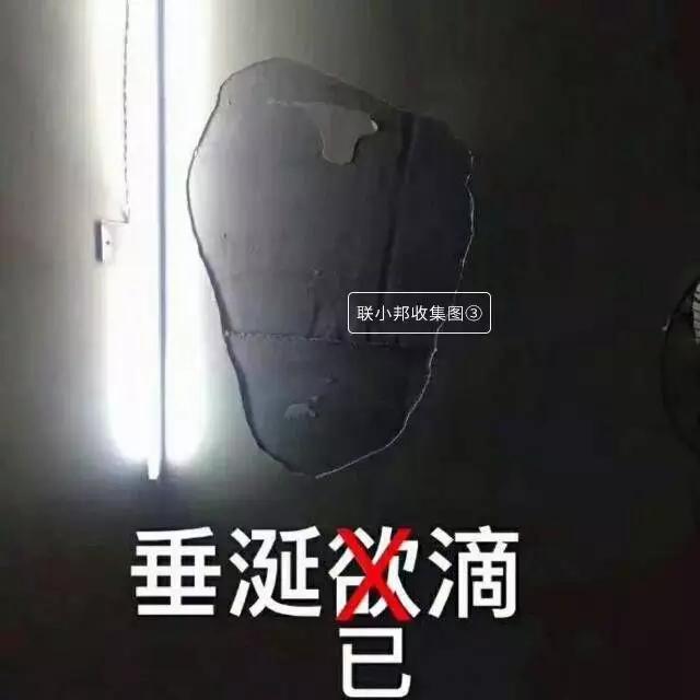 聯(lián)邦尚品道集成墻面 裝修案例