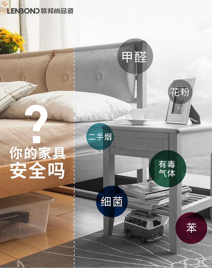 聯(lián)邦尚品道 集成頂墻 空氣凈化器