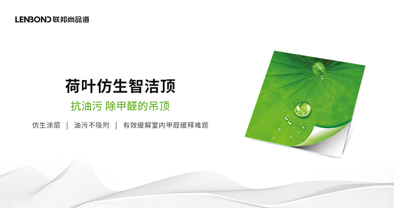 聯(lián)邦尚品道荷葉智潔頂