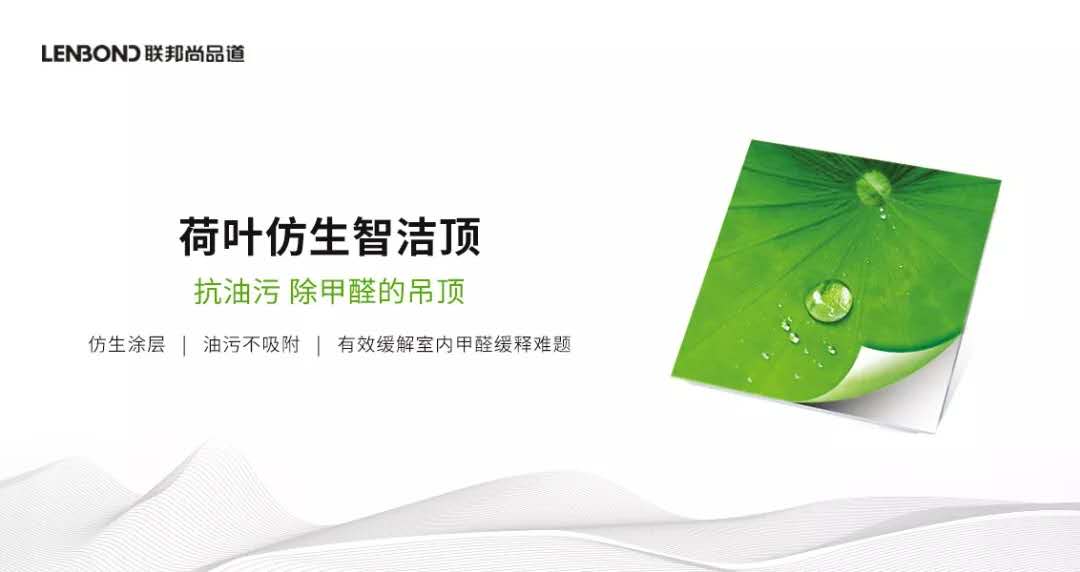 聯邦尚品道荷葉仿生.jpg