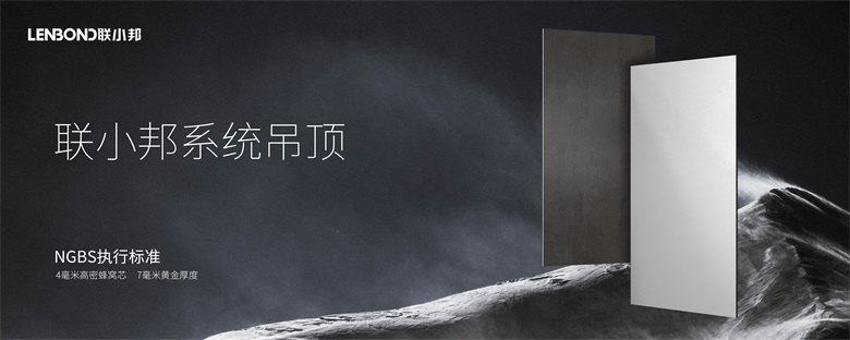 聯小邦系統吊頂.jpg